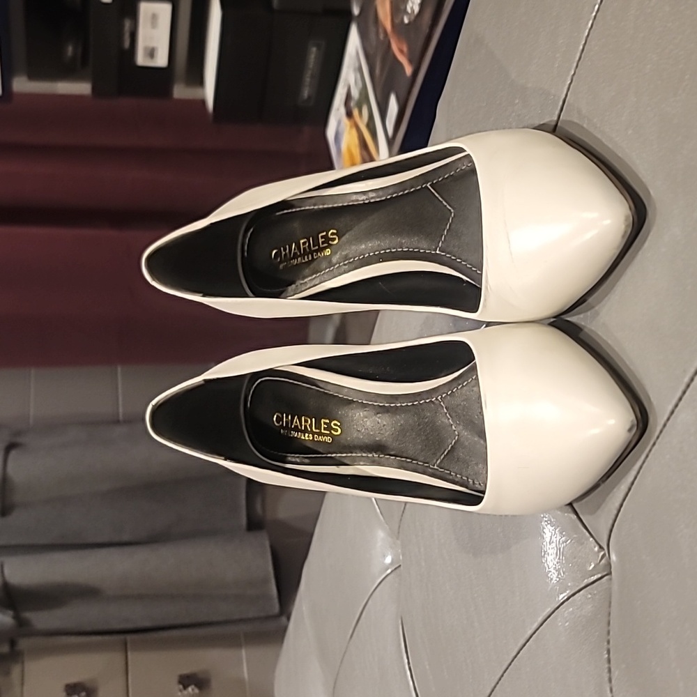 Charles David Pump